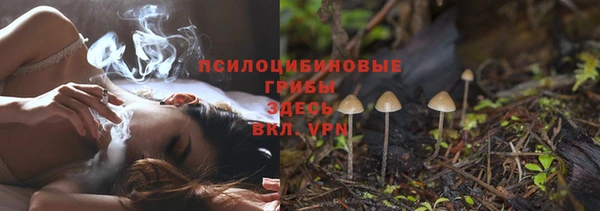 ПСИЛОЦИБИНОВЫЕ ГРИБЫ Абаза