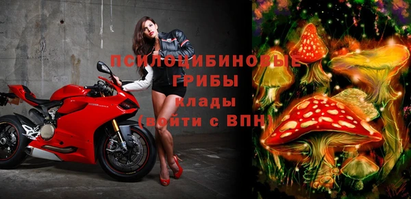 ПСИЛОЦИБИНОВЫЕ ГРИБЫ Абаза