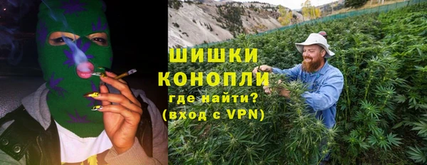 ПСИЛОЦИБИНОВЫЕ ГРИБЫ Абаза